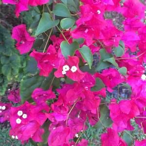 Meet your Posher, Becky